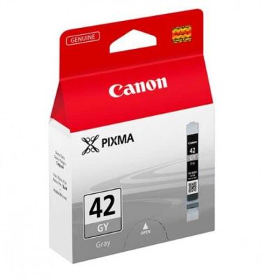 Canon CLI-42GY (6390B001) Gray Original Cartridge - Pixma Pro 100 (T6827) - 2