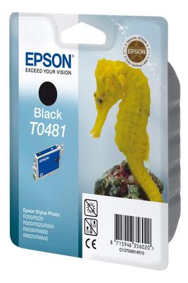 Epson C13T04814020 (T0481) Siyah Orjinal Kartuş (T2955) - 1