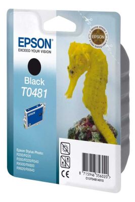 Epson C13T04814020 (T0481) Siyah Orjinal Kartuş (T2955) - 2