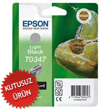 Epson C13T034740 (T0347) Açık Siyah Orjinal Kartuş - Stylus Photo 2100 (U) (T10473) - 1