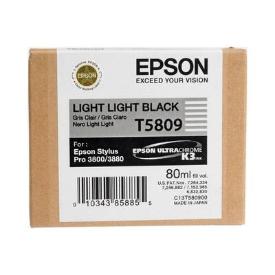 Epson C13T580900 (T5809) Double Light Black Original Cartridge - Stylus Pro 3800 