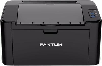 Pantum P2500 Mono Laser Yazıcı (T14657) - 1