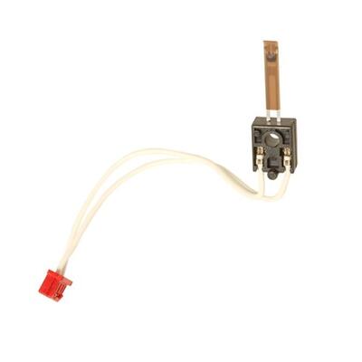 RICOH - Ricoh AW10-0112 Fuser Thermistor - MP3500 / MP4500