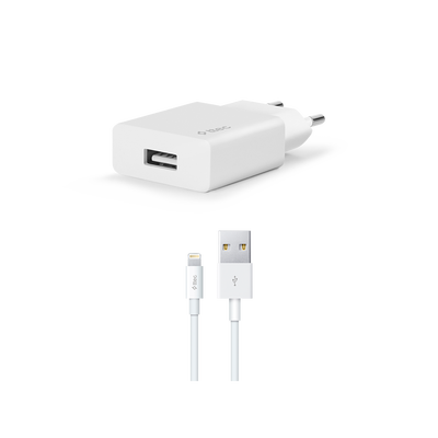 ttec SmartCharger 2.1A Travel Charger + Lightning Cable (2SCS20LB) 